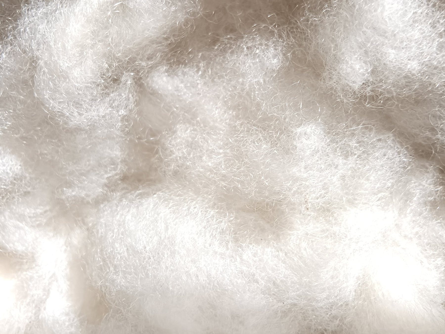 Close up of cashmere fibre